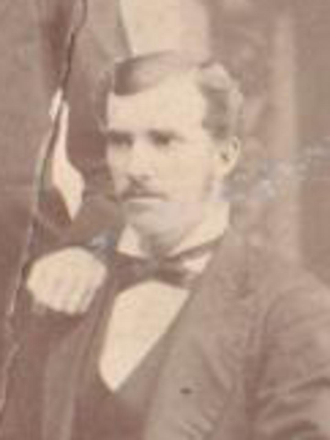 Lehi Stafford Tingey (1852 - 1889) Profile